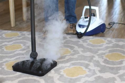 How to Steam Clean Carpet With a Steam Mop | HomeViable