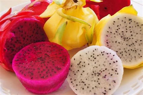 Dragon Fruit Varieties: Selection Guide