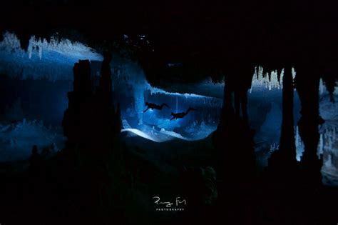 Under the Jungle in México's Flooded Caves - Underwater Photography Guide