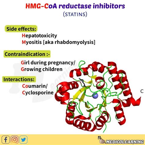 HMG CoA reductase inhibitors | Medical education, Nursing printables ...