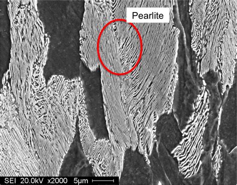 Sparky's Sword Science: Alloys, Microstructures and Phase Diagrams