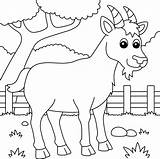 Goat Coloring Pictures sketch template