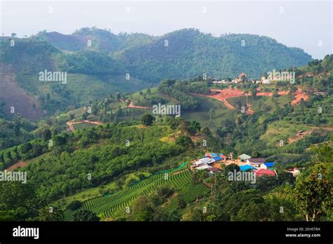 Panoramic view of small village in mountains. Traditional rural landscape with tea plantation ...