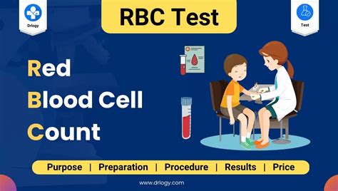 RBC (Red Blood Cell Count) Test: Price, Normal Range & Result - Drlogy