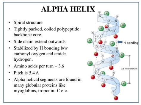 structure of protins