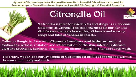 Health benefits of Citronella essential oil | Essential Oil