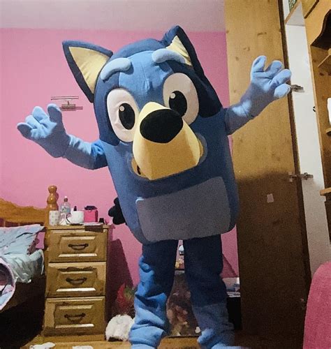 Bluey real! (Cosplay) : r/bluey