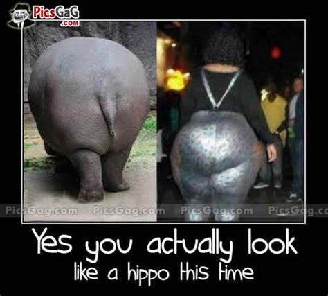 Funny Hippo Quotes. QuotesGram