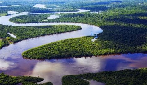 AMAZONAS (selva) | Ubicación, características, clima y vegetación