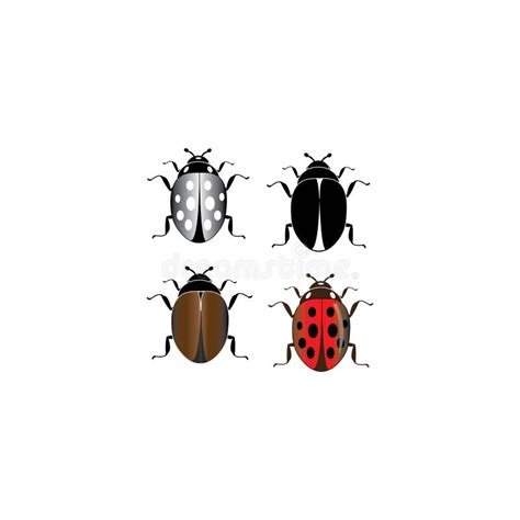 Beetle icon logo vector stock illustration. Illustration of plank ...