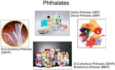 Phthalates, phthalates sources in food, cosmetic & phthalates health ...