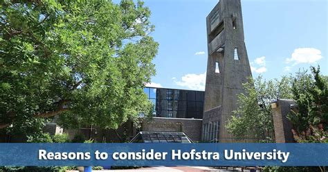 5 Essential Hofstra University Facts - Do It Yourself College Rankings