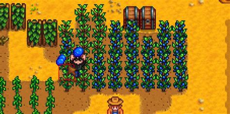 Stardew Valley: Farming Guide (2023)