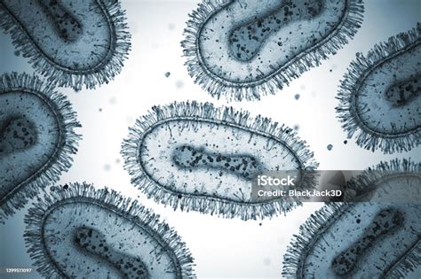 Monkey Pox Virus Cells Microscope Slide Stock Photo - Download Image ...