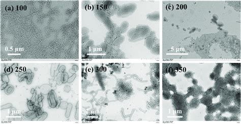 TEM images of block copolymer nanoparticles prepared by the aqueous ...