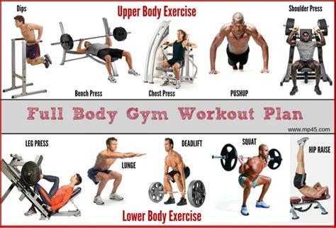 The Best Full Body Gym Workout Guide By MP45