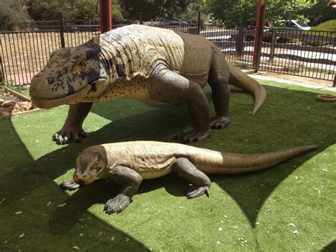 Canberra Reptile Zoo - GetAboutAble