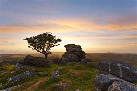 Dartmoor National Park | National parks, Dartmoor national park, Dartmoor