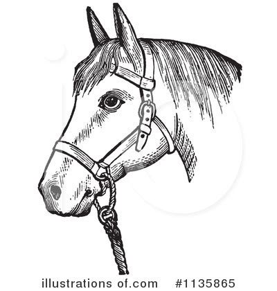 Halter Horse Clipart - Clipart Suggest