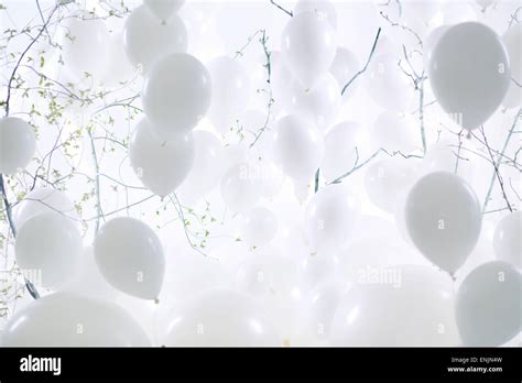 Photo art of white balloon background Stock Photo: 82160985 - Alamy