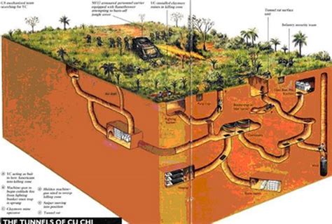 7 Amazing things about Cu Chi Tunnels before a Vietnam tour