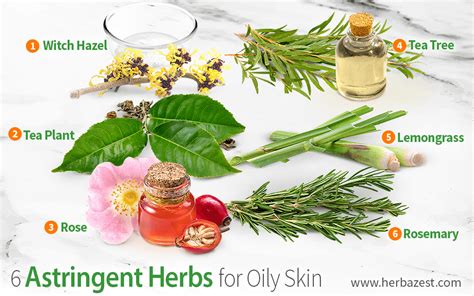 6 Astringent Herbs for Oily Skin | HerbaZest