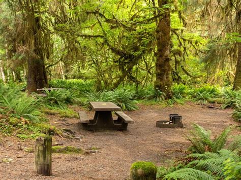 Hoh Rainforest Campground, Olympic National Park - Recreation.gov