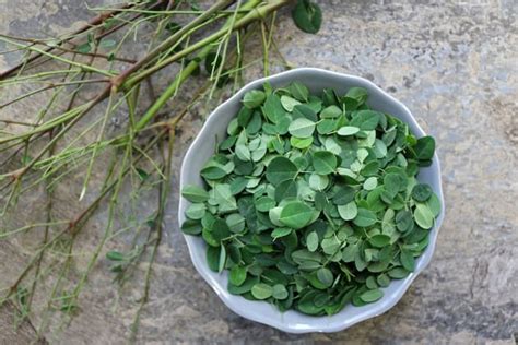 Potato Salad with Moringa Leaves Image - Food Fanatic