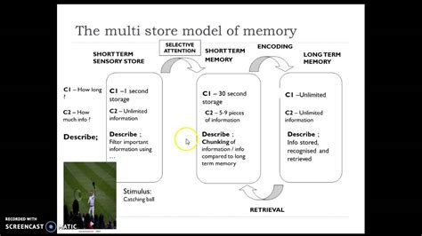 AS PE - Multi Store Model of Memory - YouTube