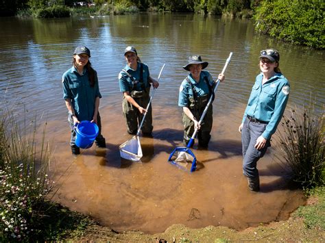 WGCMA | Waterbug Identification Training Day – Tiny creatures, mighty clues