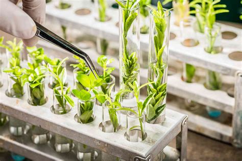 What About Agricultural Biotechnology?