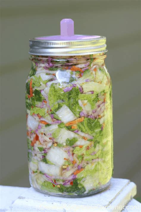 Creative Vegetable Gardener:5 No-Fail Fermented Food Recipes for Beginners - Creative Vegetable ...