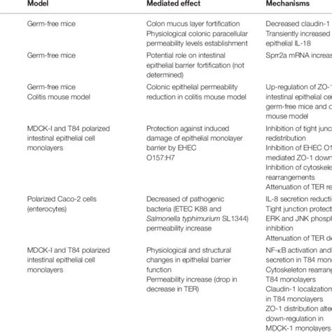 Some evidences of the impact of bacteria on intestinal epithelial... | Download Scientific Diagram