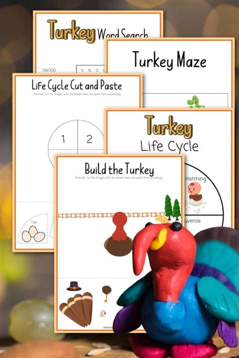 Fun Facts about Turkeys - Made with HAPPY