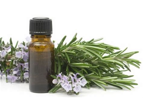 21 Essential Oils For Anxiety Relief ⋆ BestNaturalTips