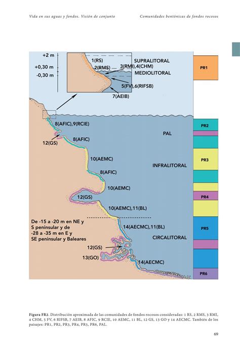 El Ecosistema Marino Mediterráneo. Guía de su flora, fauna y hábitats ...