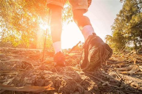 The 15 Best Trails To Go Hiking In Minnesota - Beyond The Tent