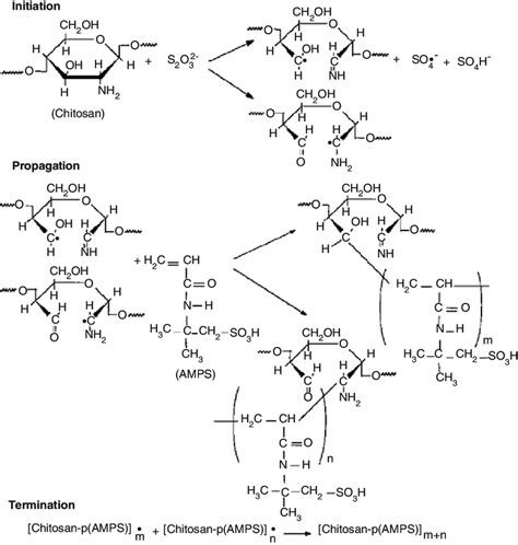 1 Mechanism of the graft copolymerization of AMPS onto Cs. Reproduced ...