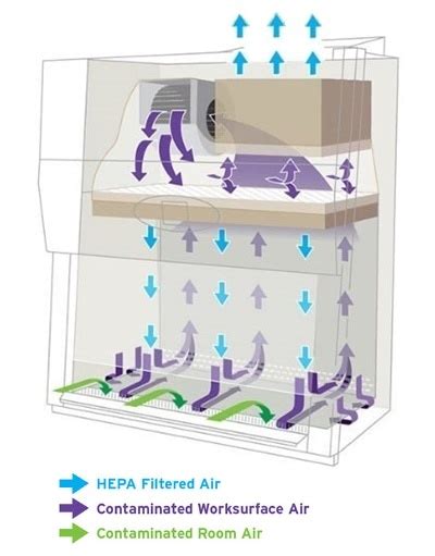 Nuaire Biological Safety Cabinet Pdf | Cabinets Matttroy