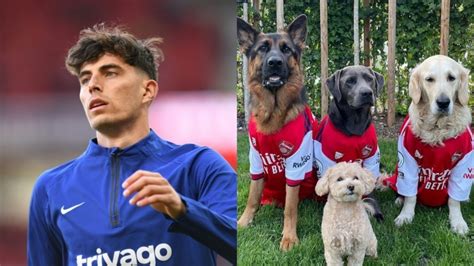 Havertz brings Arsenal's 'ruff' reinforcements