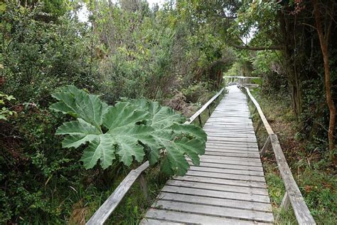 Chiloe National Park, Chiloe Guide, Hotels, national Park, Guide of ...