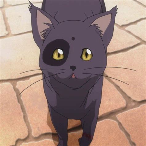 [PICTURES] 15 Cute Anime Cats - Best Cats Character Anime List 2020