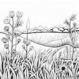 Grass Coloring Pages  Free & Printable sketch template