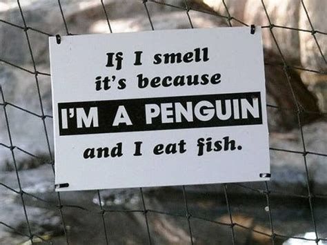 25 Funny Animal Signs | Pet signs, Funny pictures, Funny signs