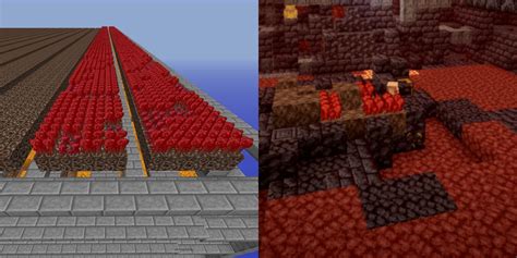 Minecraft: How To Grow Nether Wart