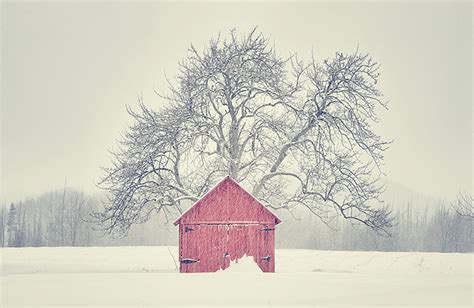 Red Shed — Glen Arbor Artisans