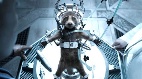 Insensitive Rocket Raccoon Tattoos in Wake of ‘Guardians of the Galaxy ...