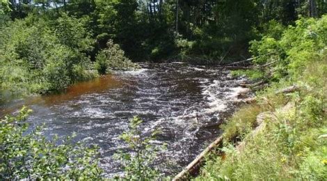 Little Manistee River Private Lands Sites: Before, During, After Flooding in July 2019