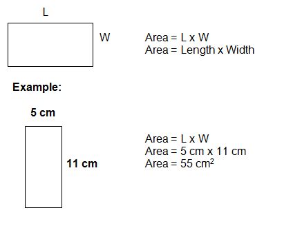 Area Formula - Your Reference Guide for Algebra Formulas