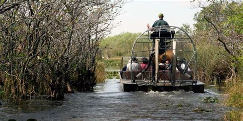 Airboat Tours in Polk County + Central Florida - Lakeland Mom